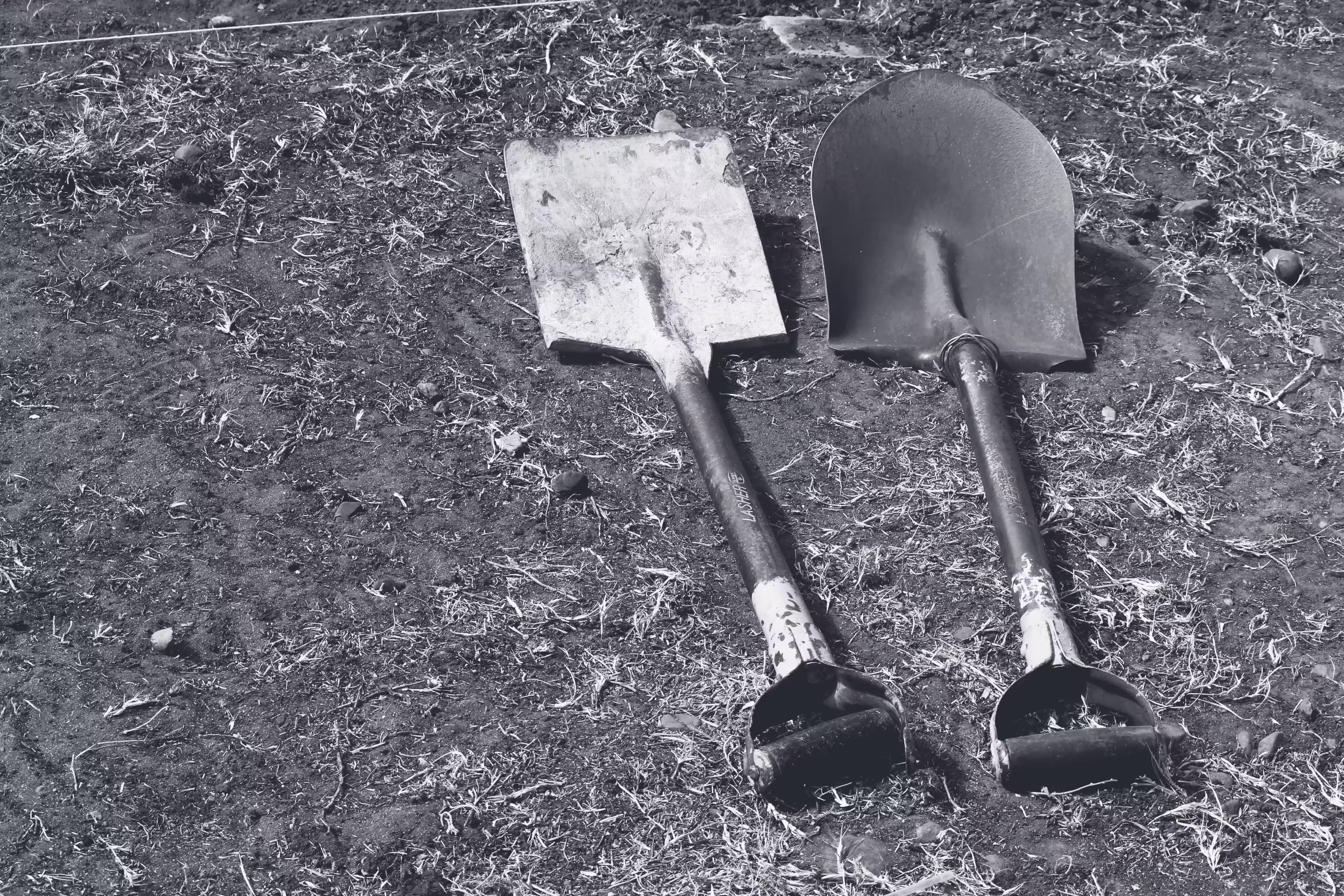 Breaking Ground on the First Building 1966