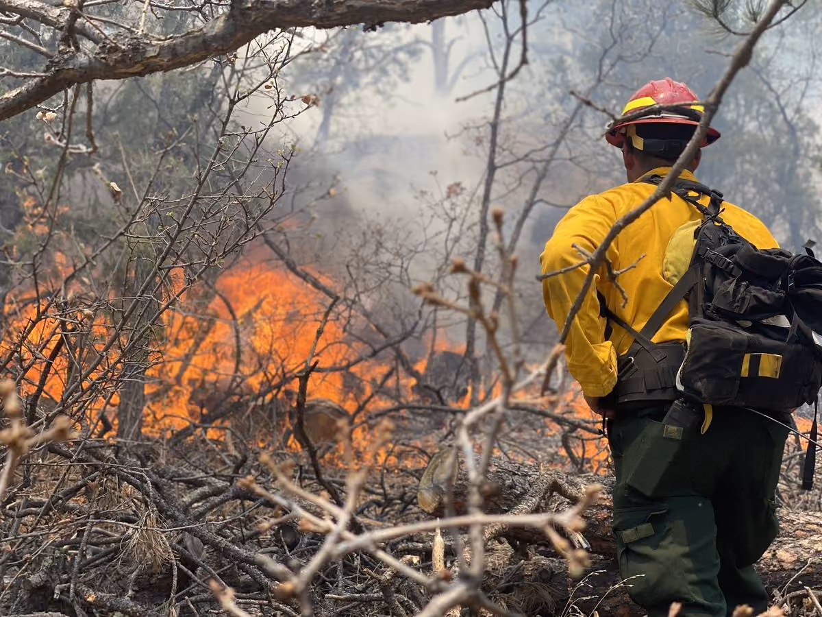 Colorado Springs firefighter at work