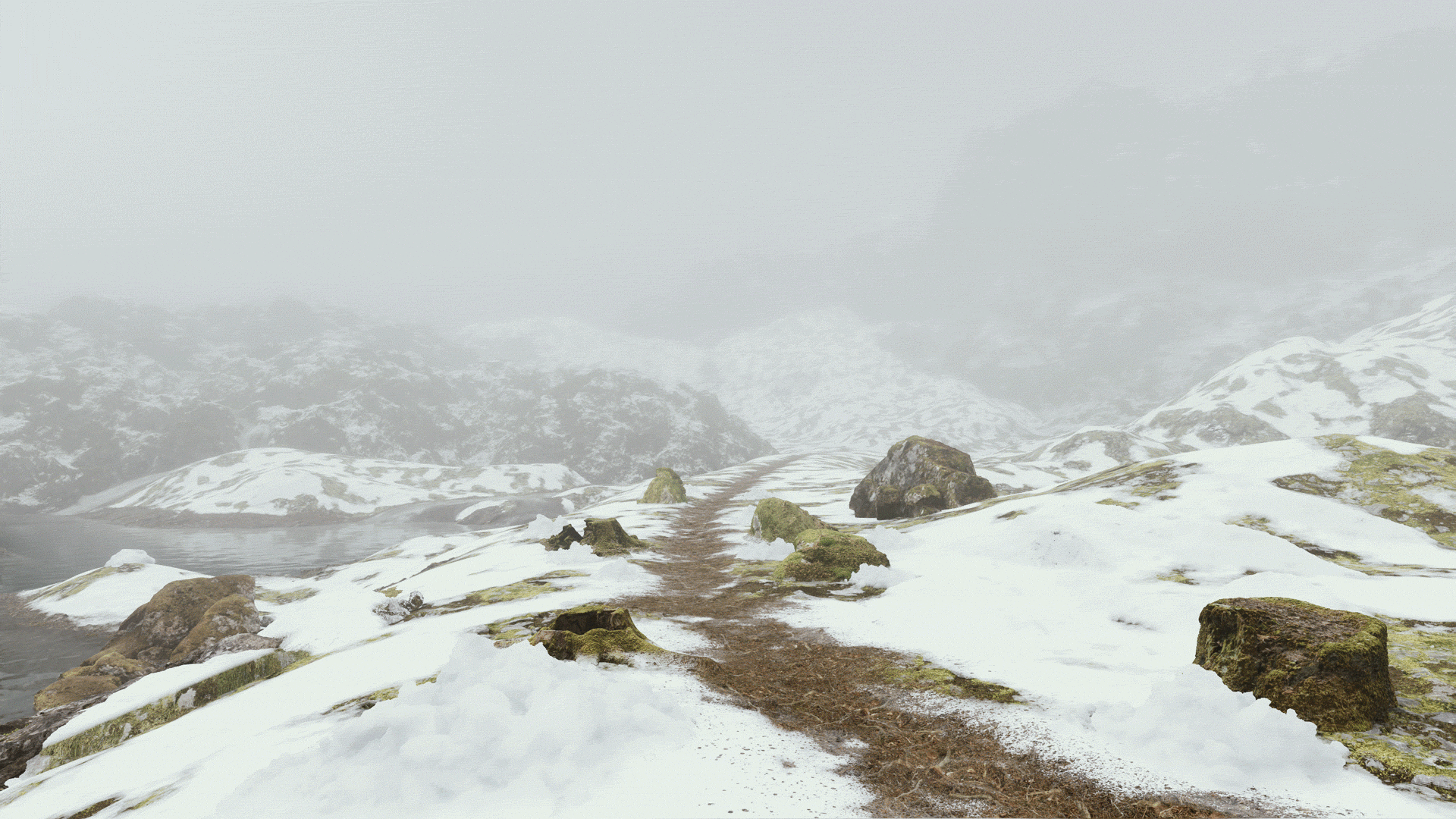 Procedural biome generation in Unreal Engine 5
