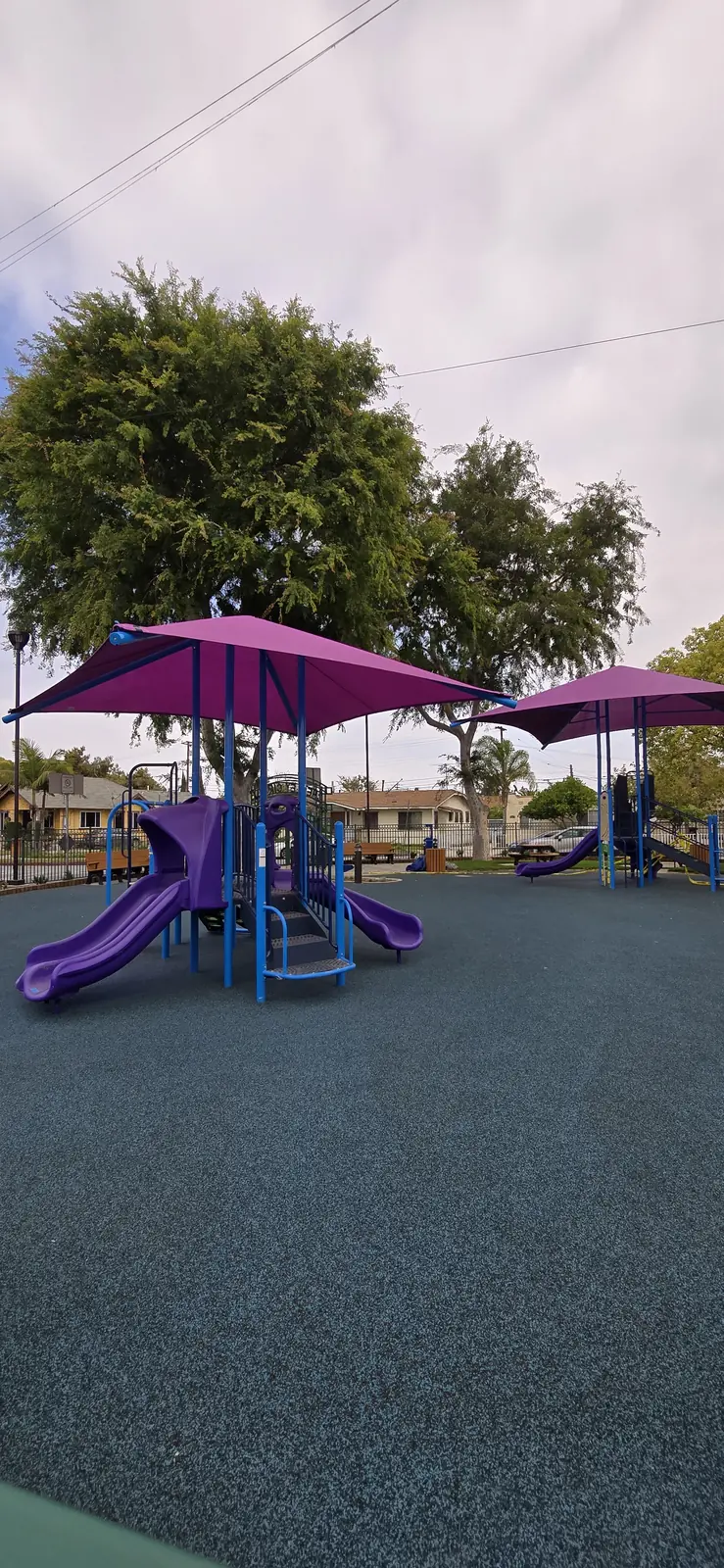 Chesley Park Roundabout / Public Realm Improvements — 20250423_160545(0)