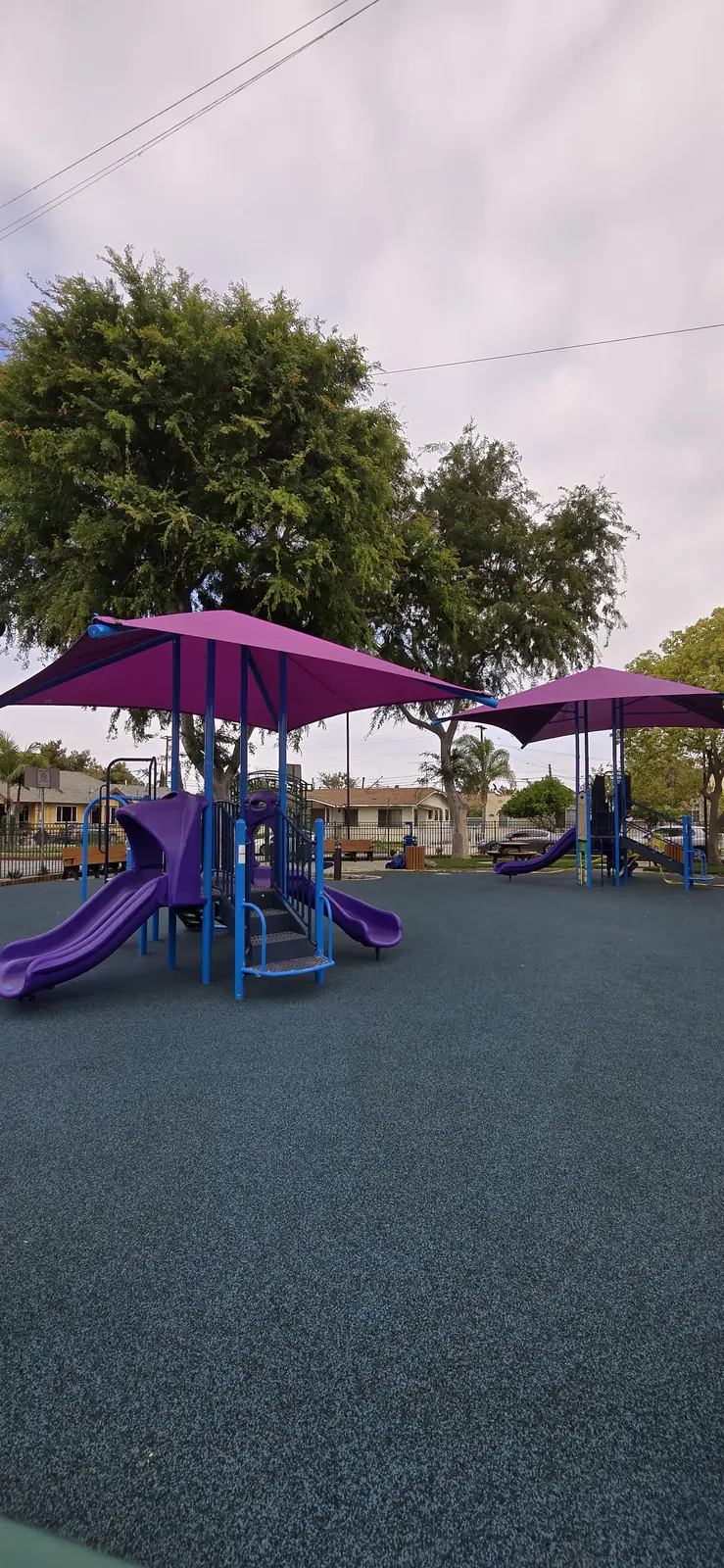 Chesley Park Roundabout / Public Realm Improvements — 20250423_160545