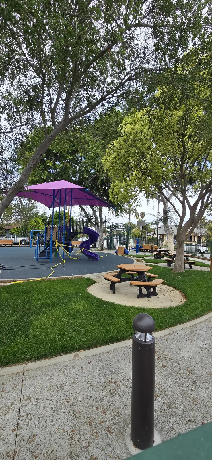 Chesley Park Roundabout / Public Realm Improvements — 20250423_160441