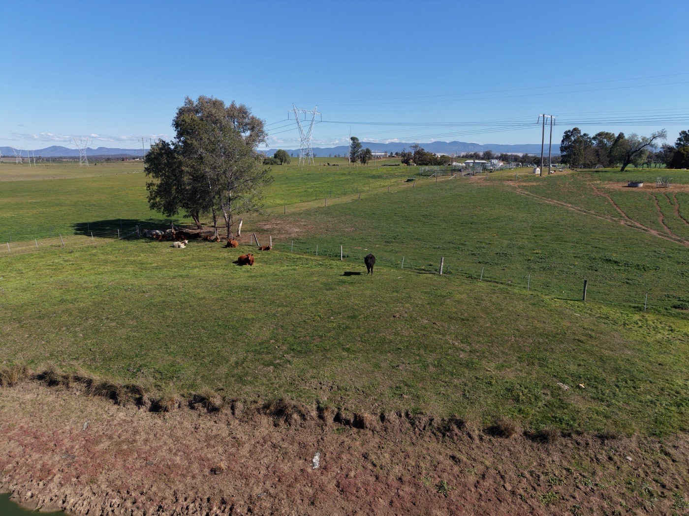 Existing Transgrid transmission tower and line adjacent to the project site