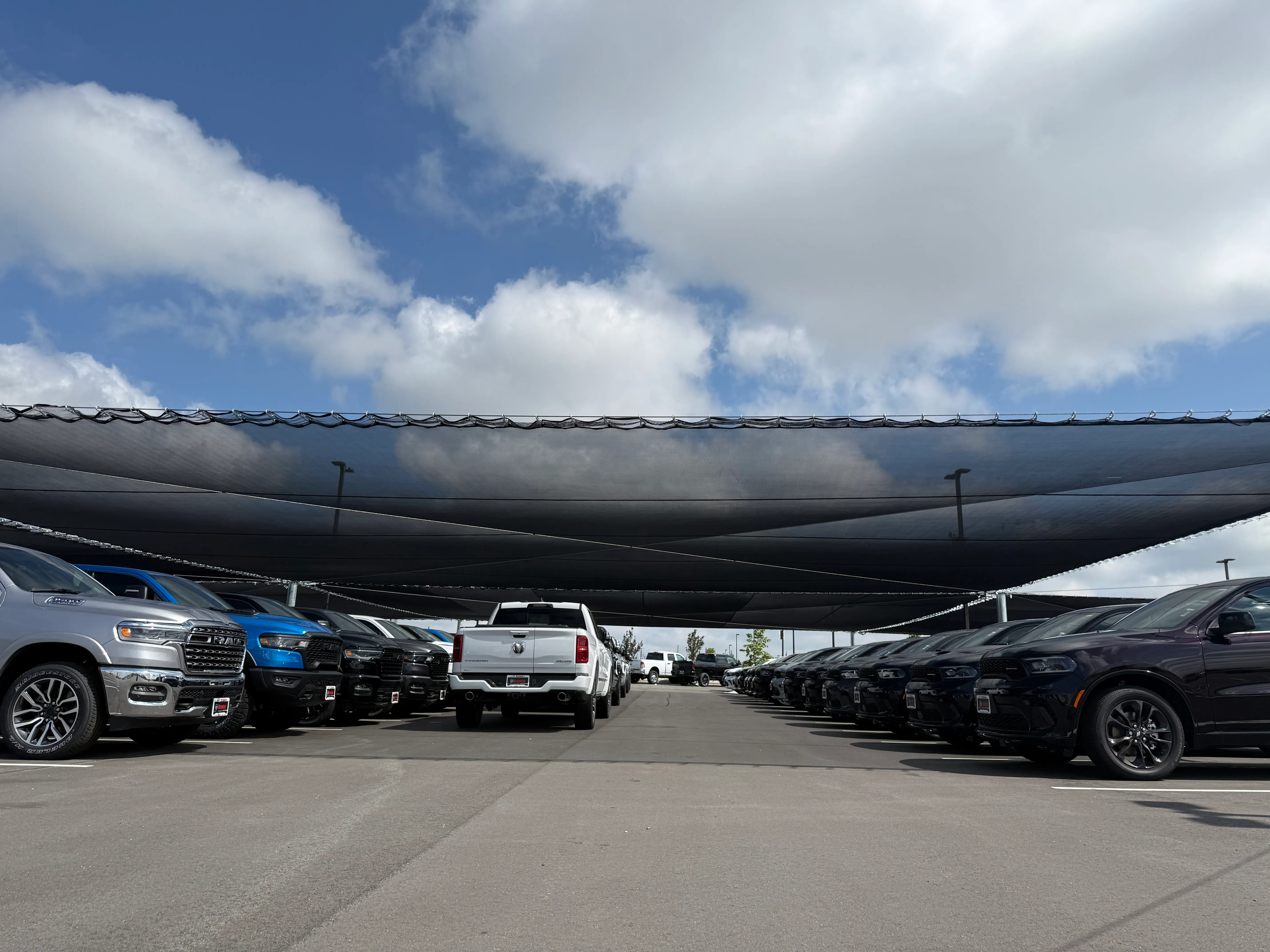 Hail netting over trucks parked in lot