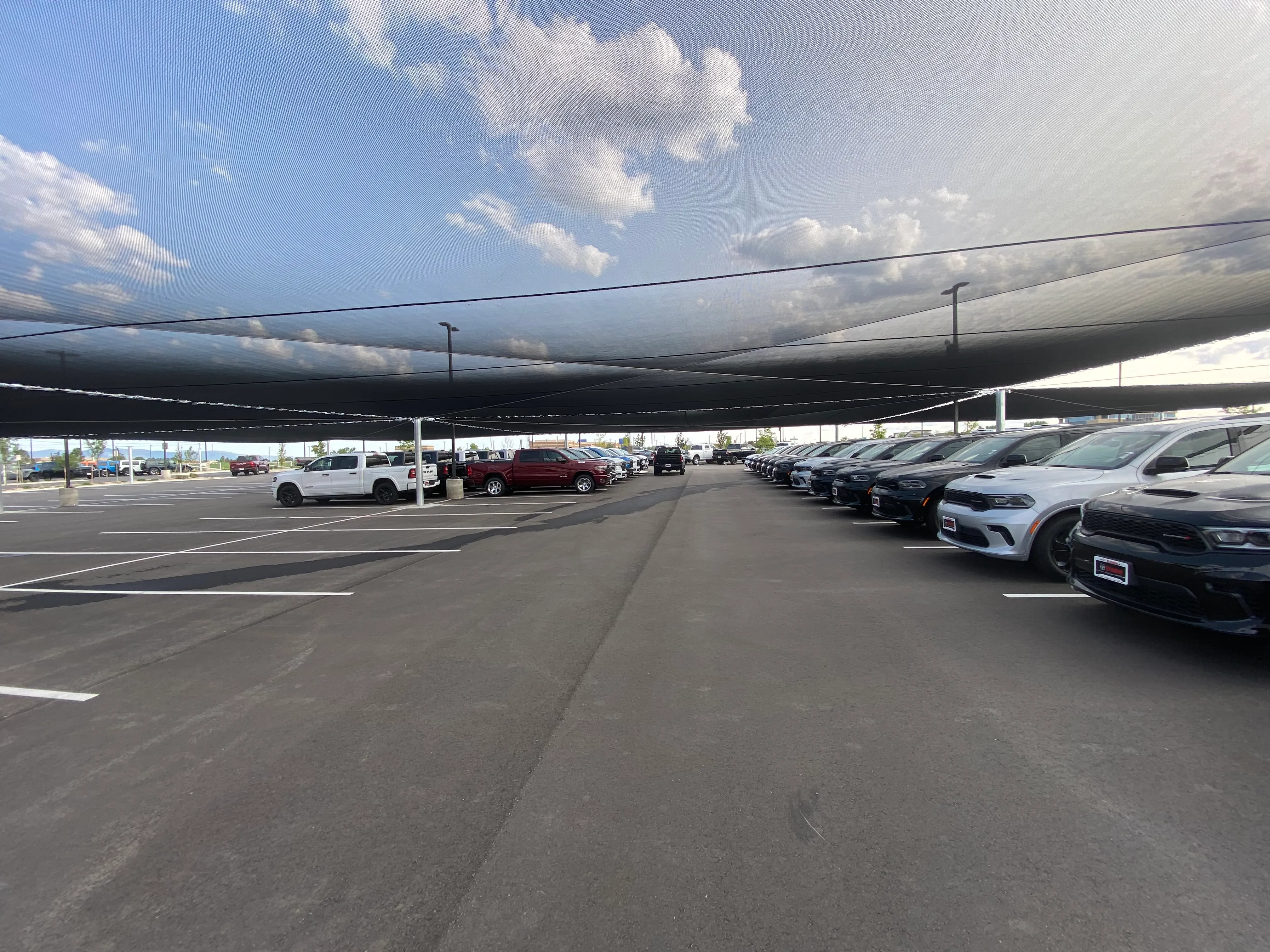 Rows of cars under protective hail netting