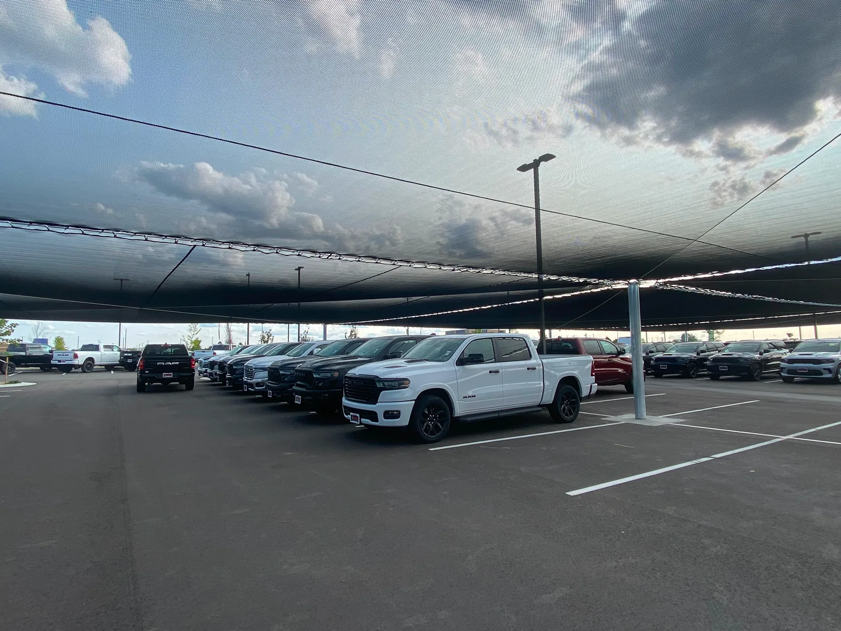 Trucks parked under Hail No netting at Moreland Automotive Group