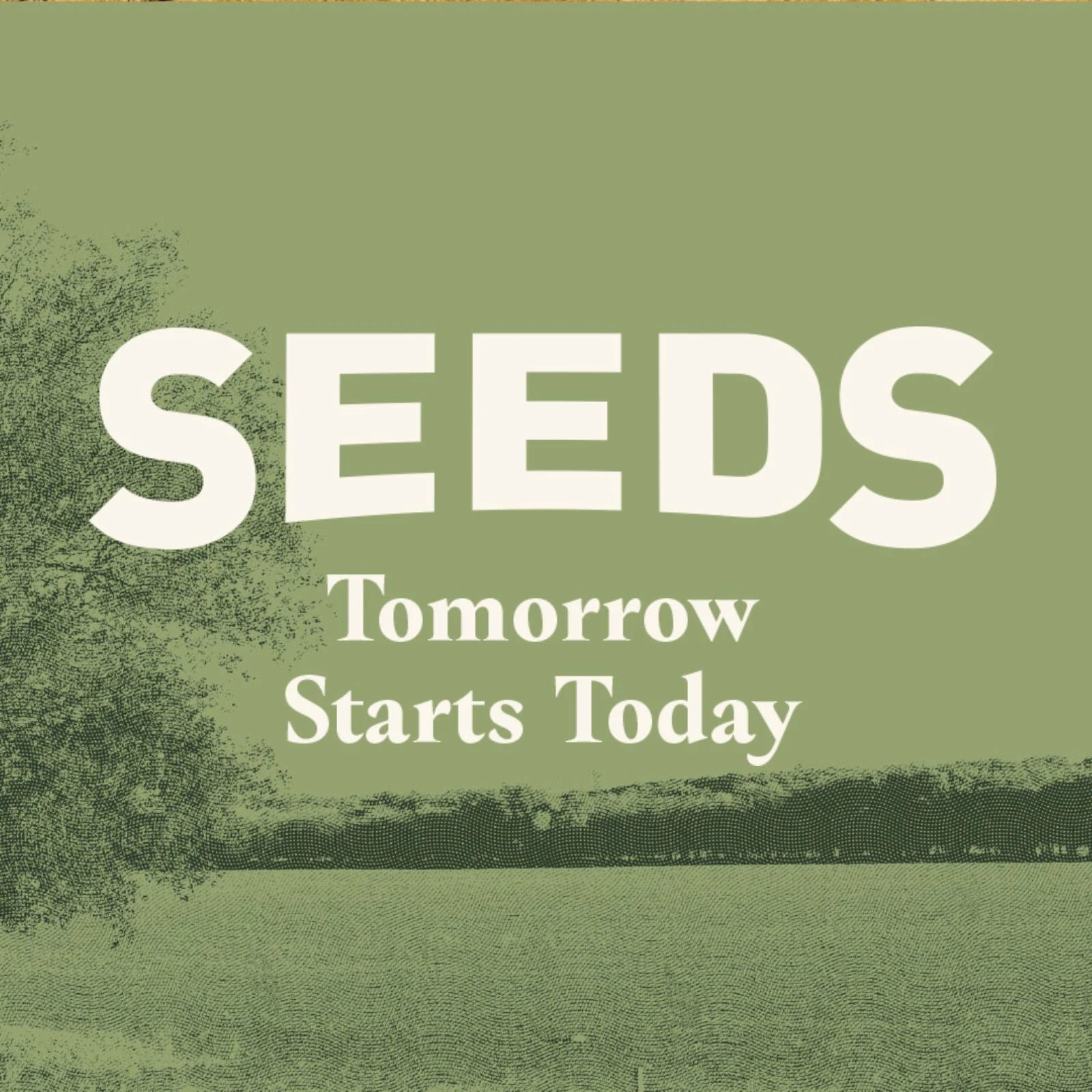 Seeds Message Series