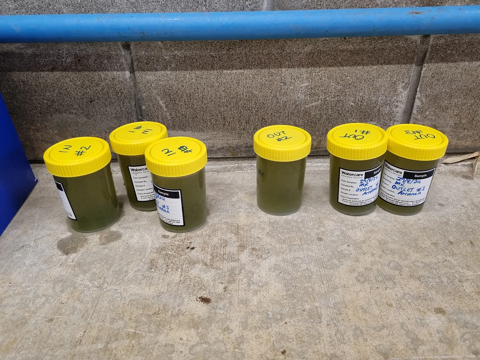 Disinfecting Algae-Laden Pond Effluent