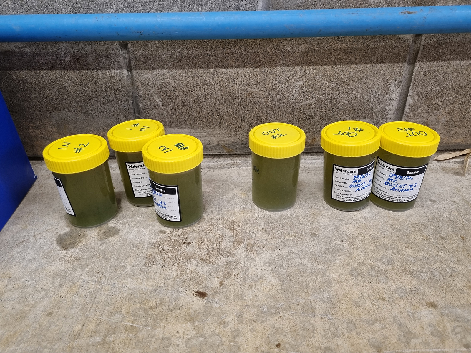 Wastewater sample with a high total suspended solids load