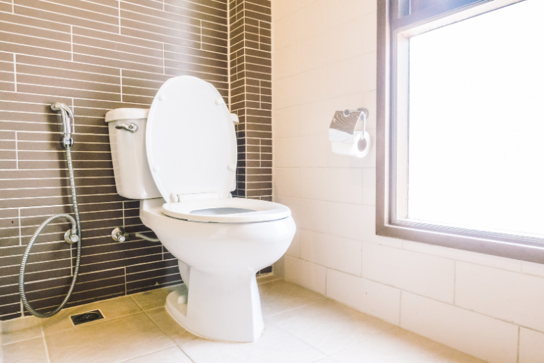 Choosing a toilet and considering its role in your bathroom renovation cost.