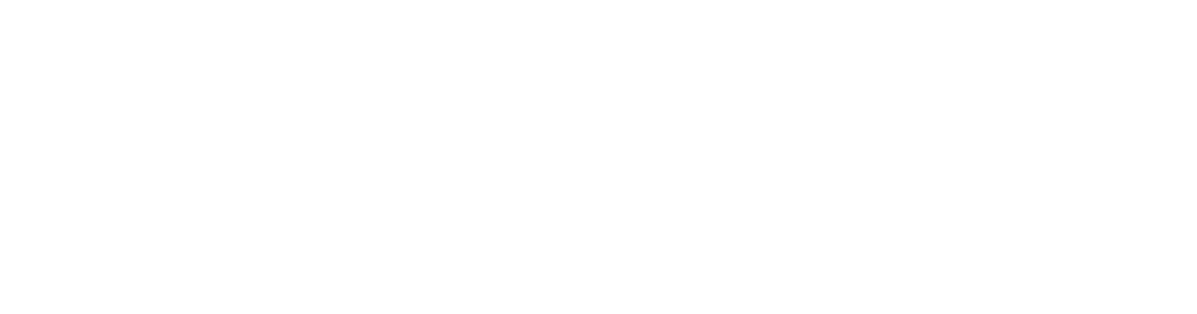 MEDUZA Express Handwerk