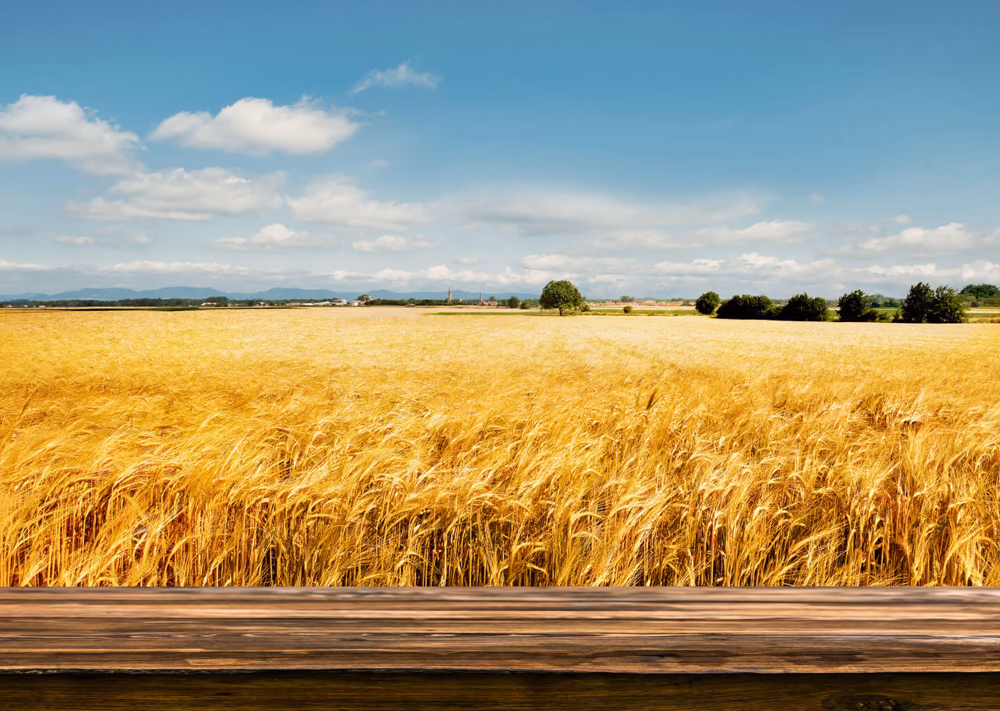 Goldgelbes Weizenfeld unter blauem Himmel mit Holztisch im Vordergrund.