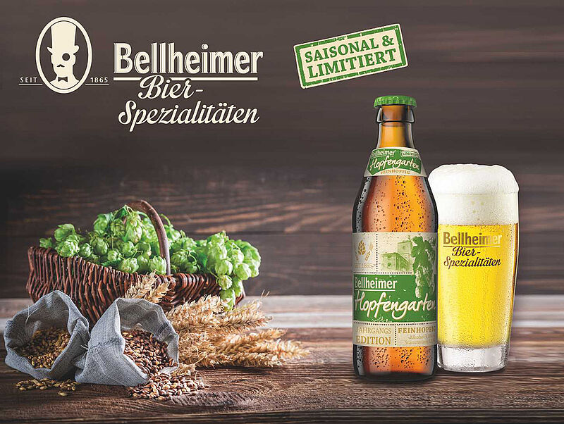 Flasche und Glas Bier Bellheimer Hopfengarten auf einem Holztisch mit Hopfendolden