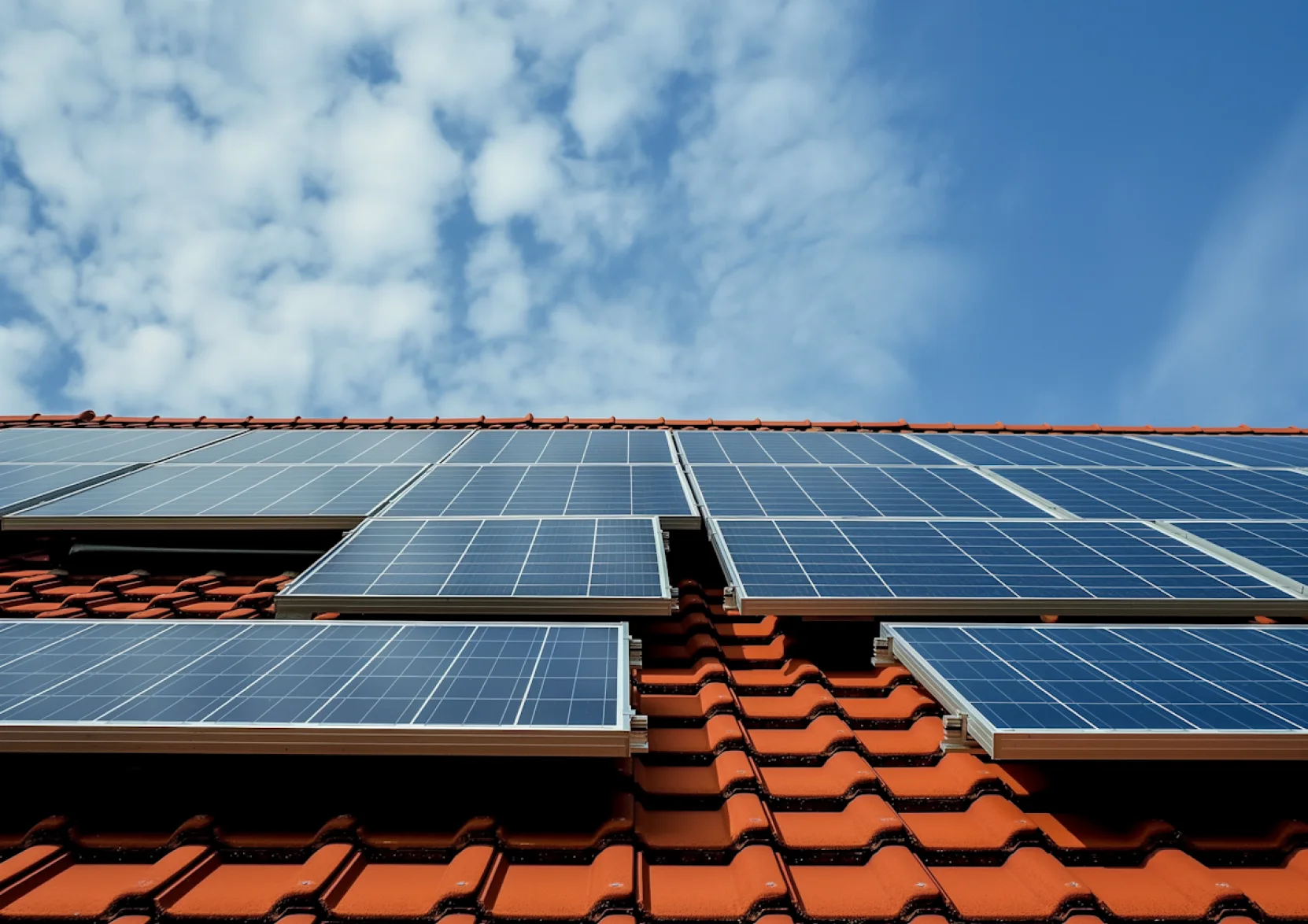 Protecting nature, building a sustainable tomorrow