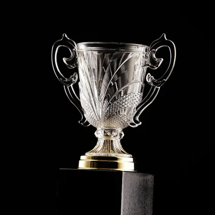 Climate leadership award