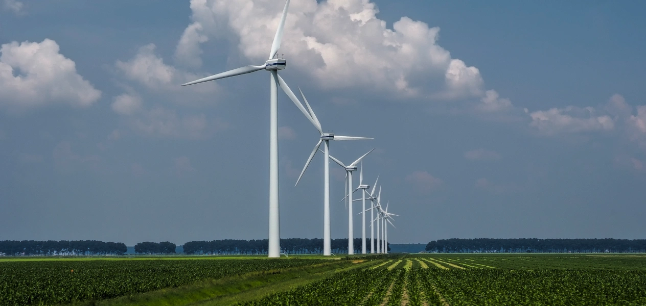North sea wind array