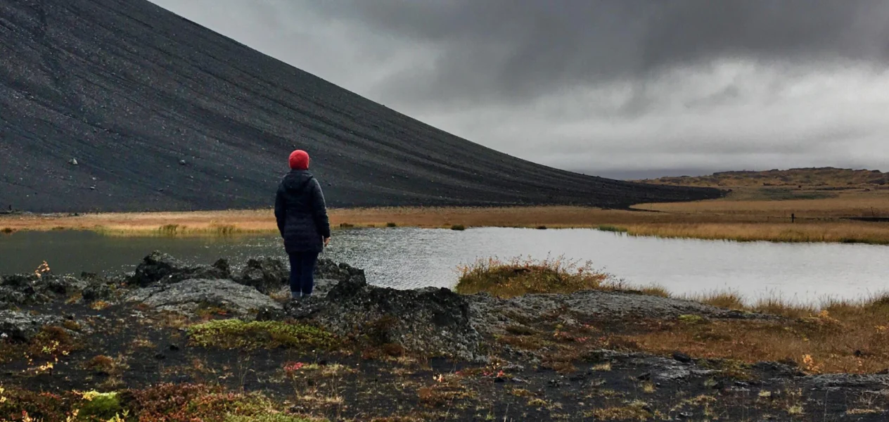 Peatland Restoration