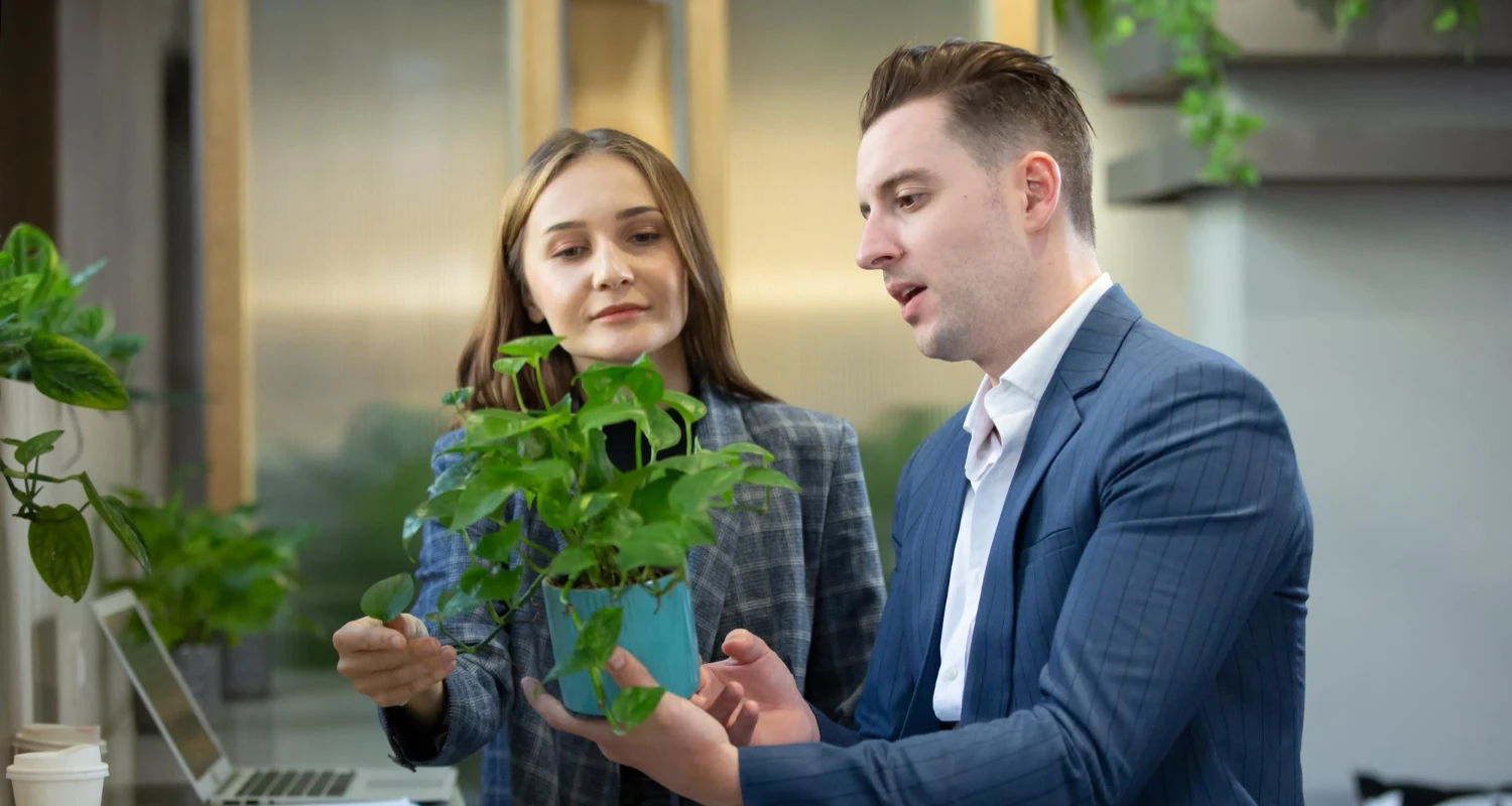 Senior sustainability consultant