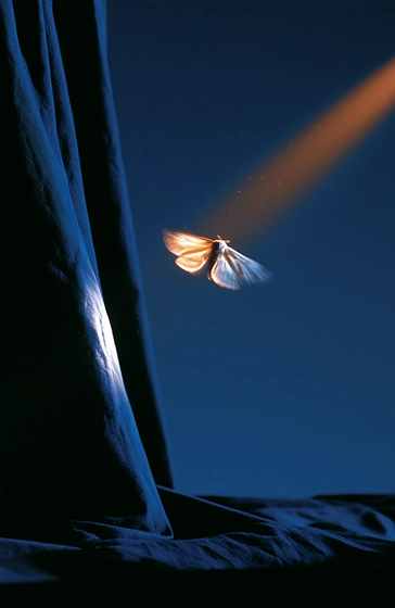 Process Image
