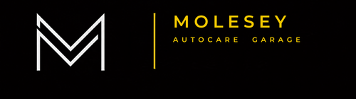 Molesey Autocare logo