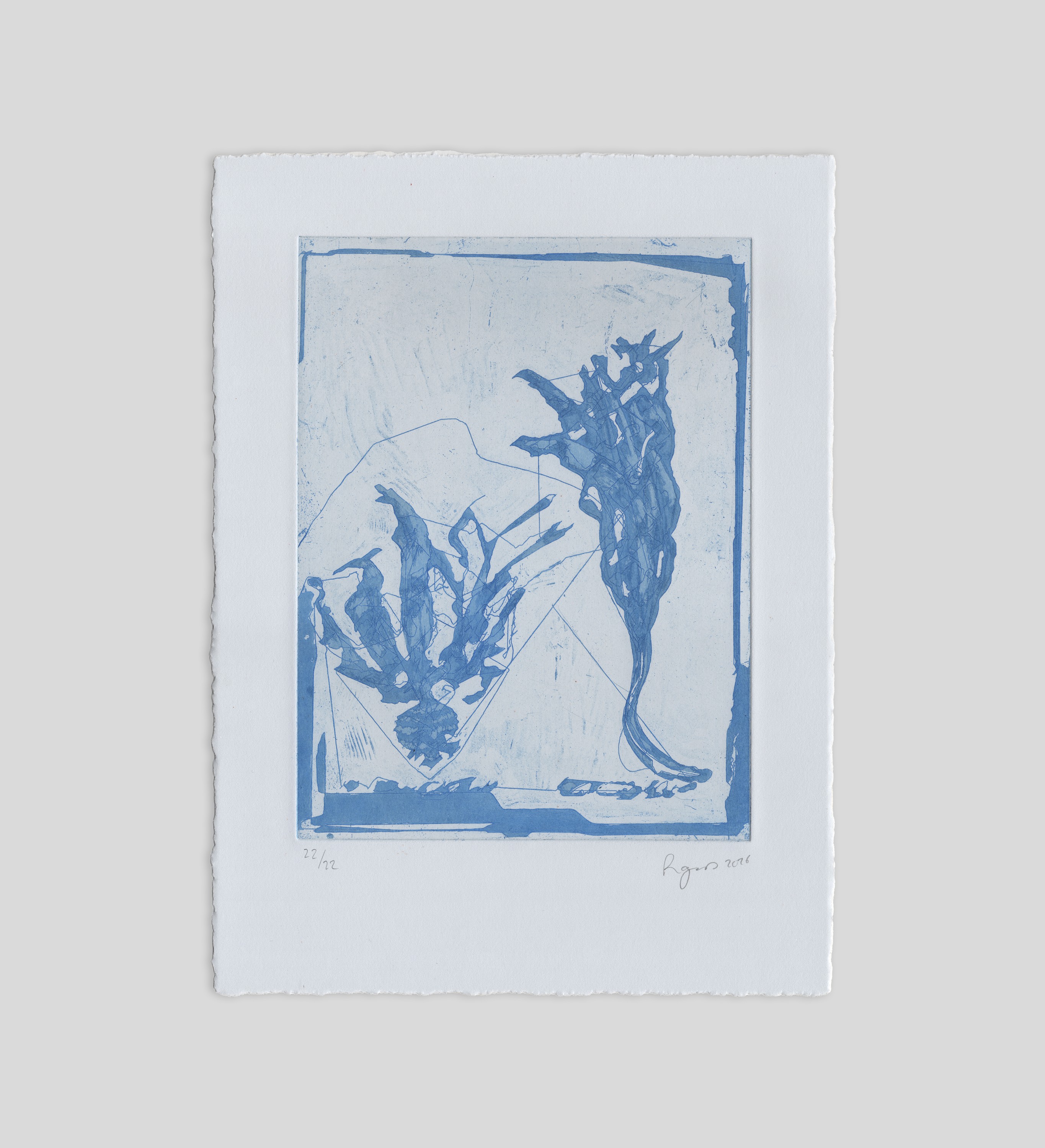 Seaweed specimens — blue stitched etching from The Melodies of Mud and Sea