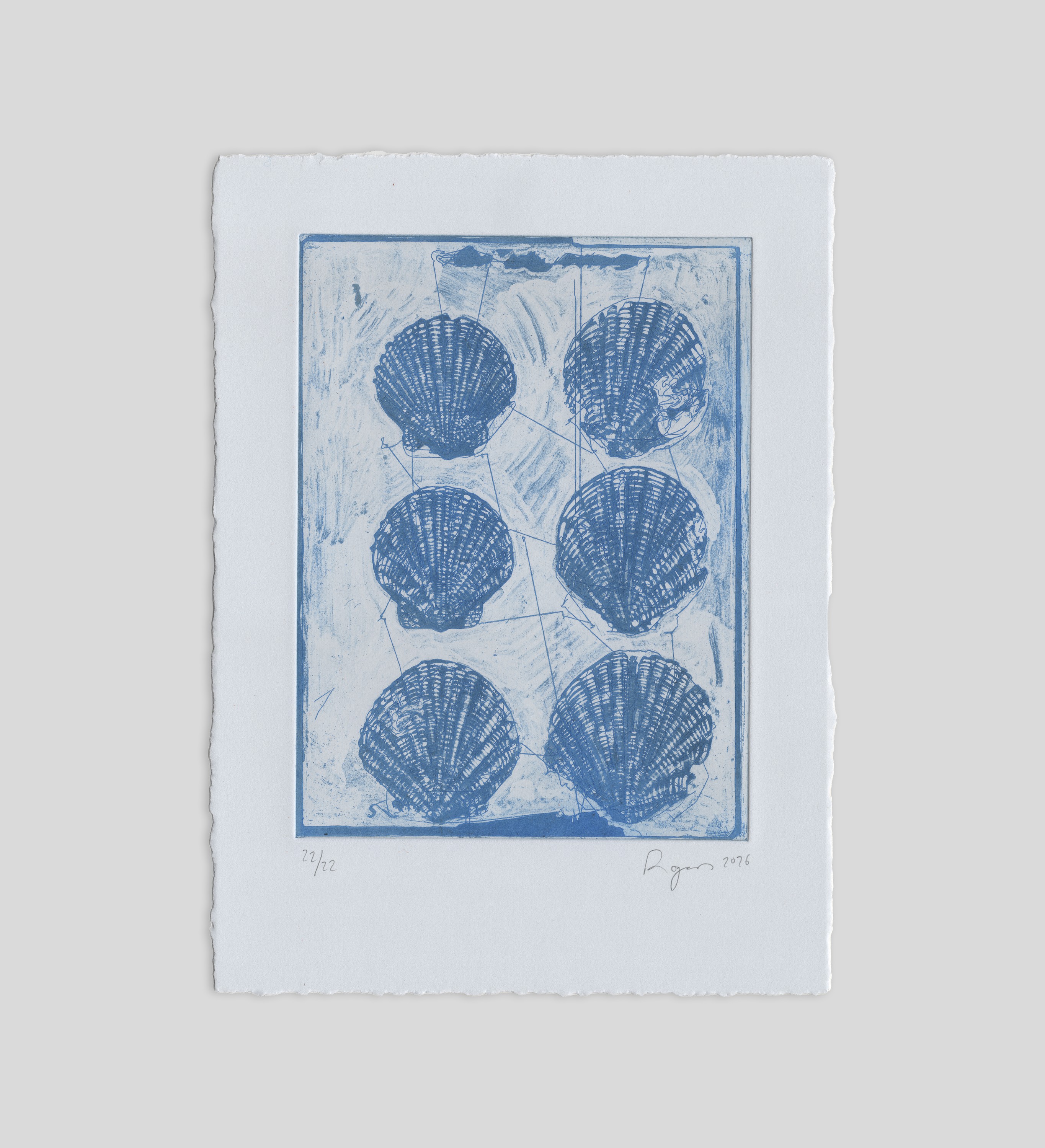 Scallop shells — blue stitched etching from The Melodies of Mud and Sea