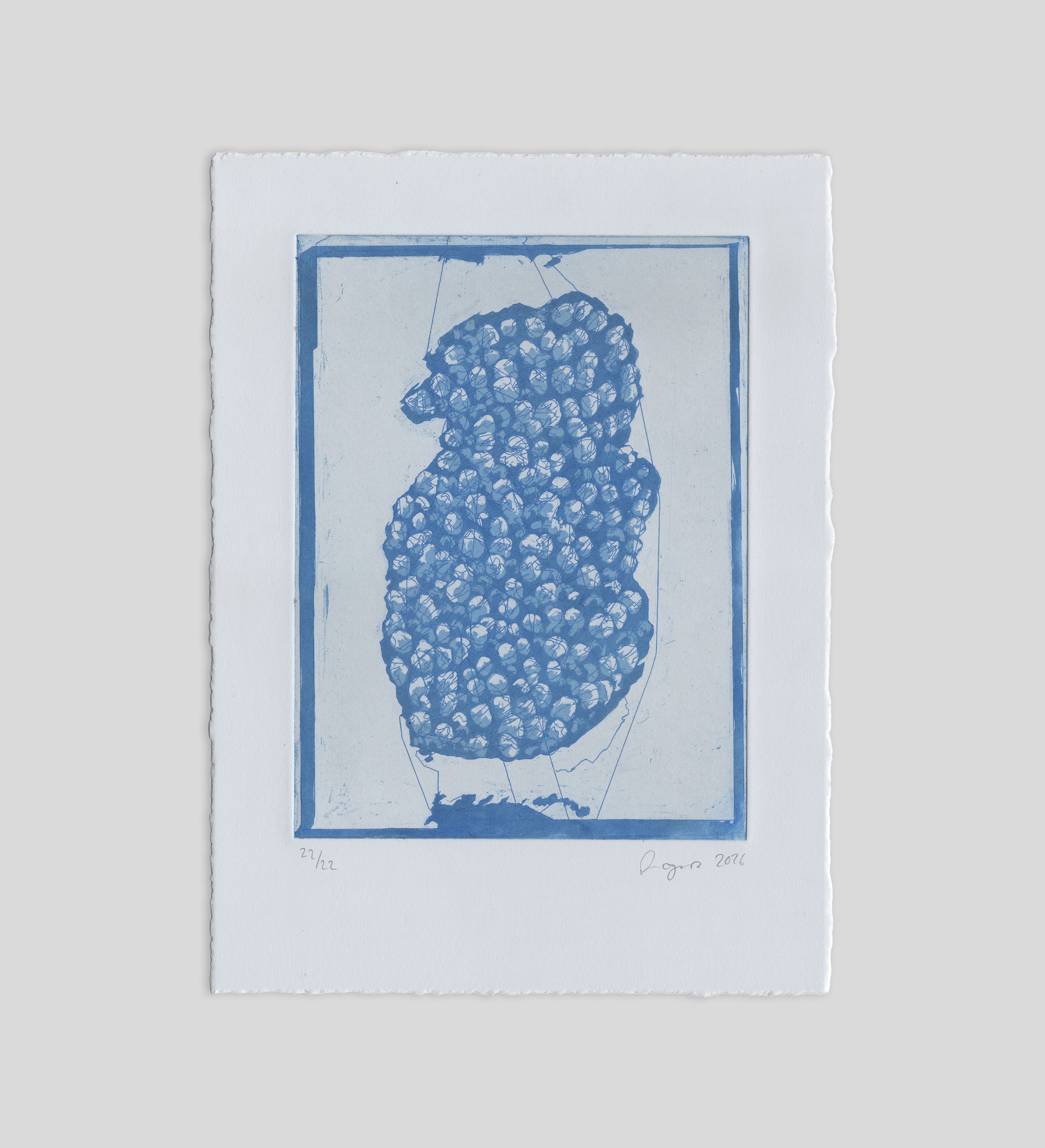 Whelk egg case — blue stitched etching from The Melodies of Mud and Sea
