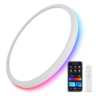 Smart RGB LED Flush Mount Ceiling Light (variant)