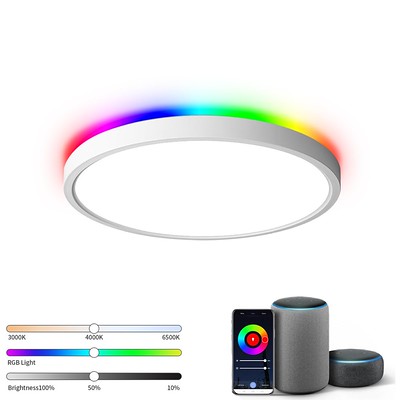 Smart Ceiling Light 10"