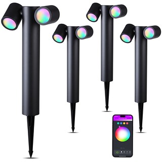 Smart RGB Low Voltage Pathway / Landscape Lights