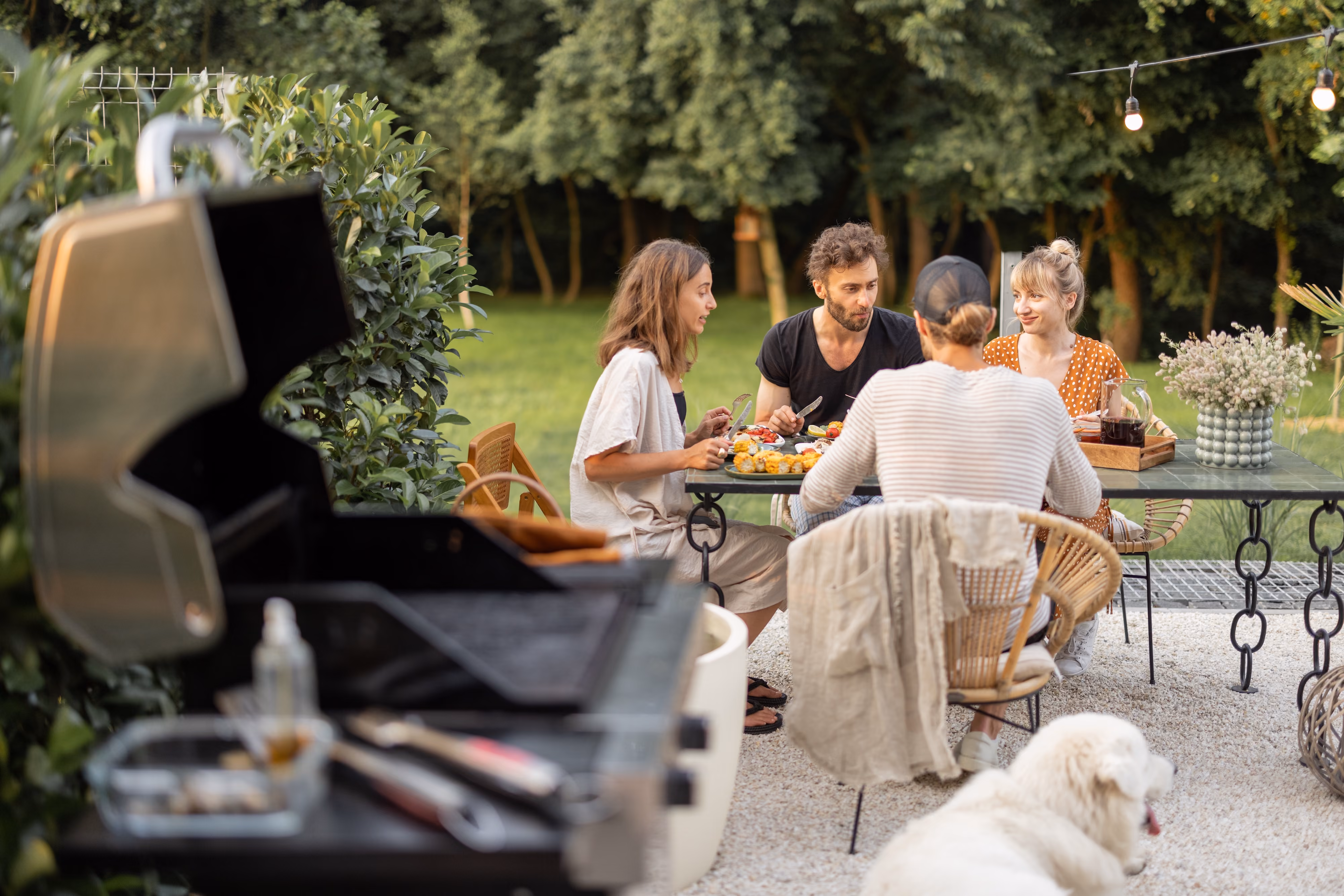 BBQ Stock Image