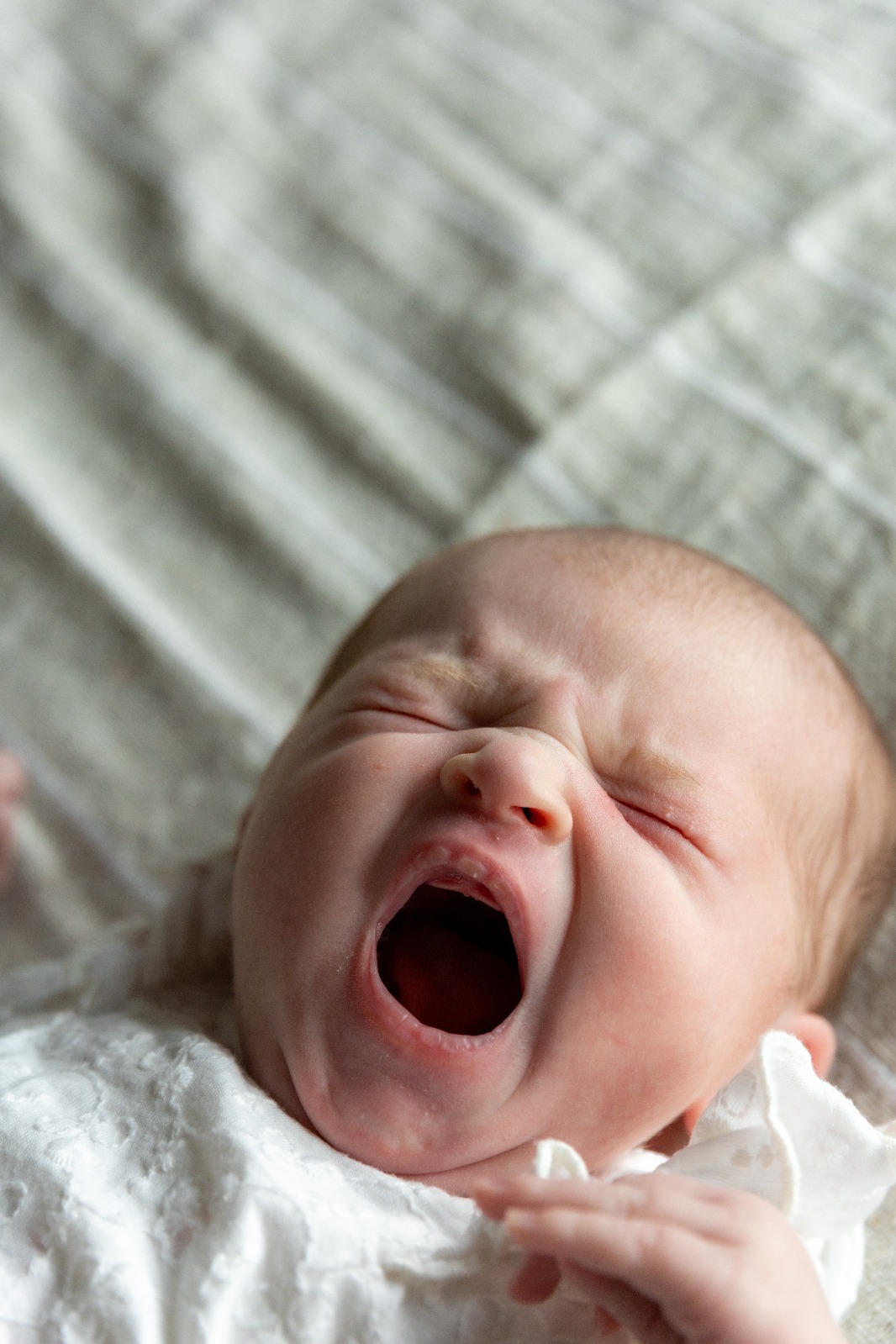 Baby die gaapt tijdens de newbornfotoshoot