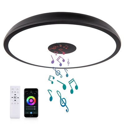 Smart Waterproof LED Flush Mount Ceiling Light