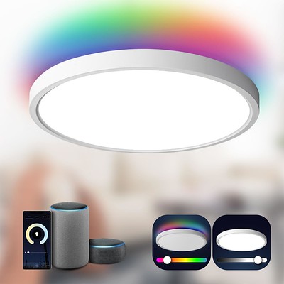 Smart Ceiling Light 12"