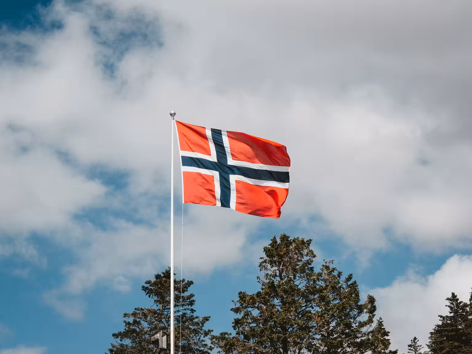 Novo Nordisk Flag