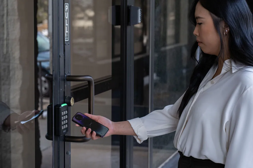 Small and medium business access control
