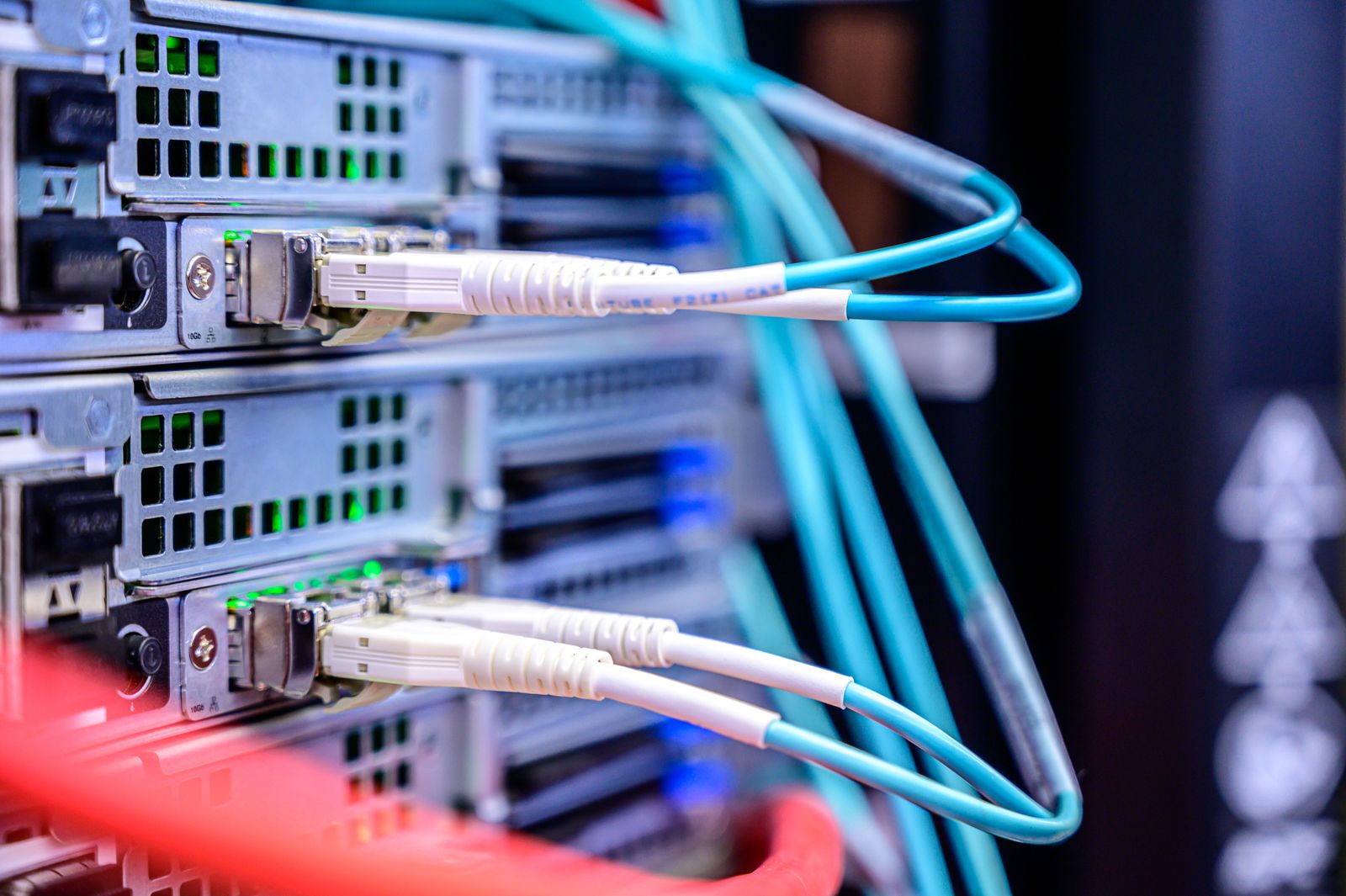 Netzwerkkabel an einem Serverschrank, sinnbildlich für die geordnete Stilllegung der Systeme beim Lizenzverkauf