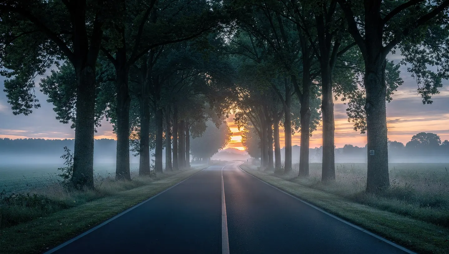 Radweg durch eine Baumallee — Symbolbild