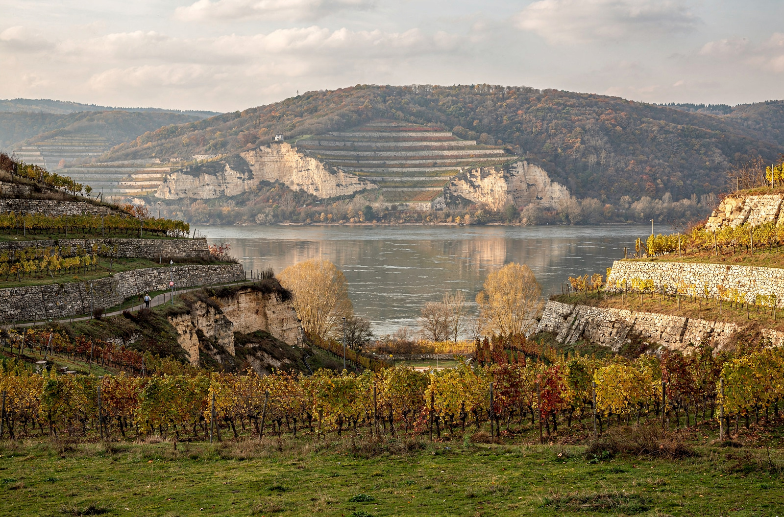 Weinberge Diesbar-Seußlitz
