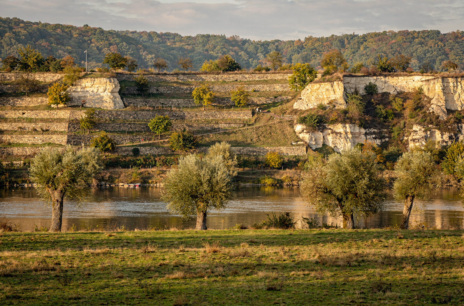 Weingut Hoflößnitz
