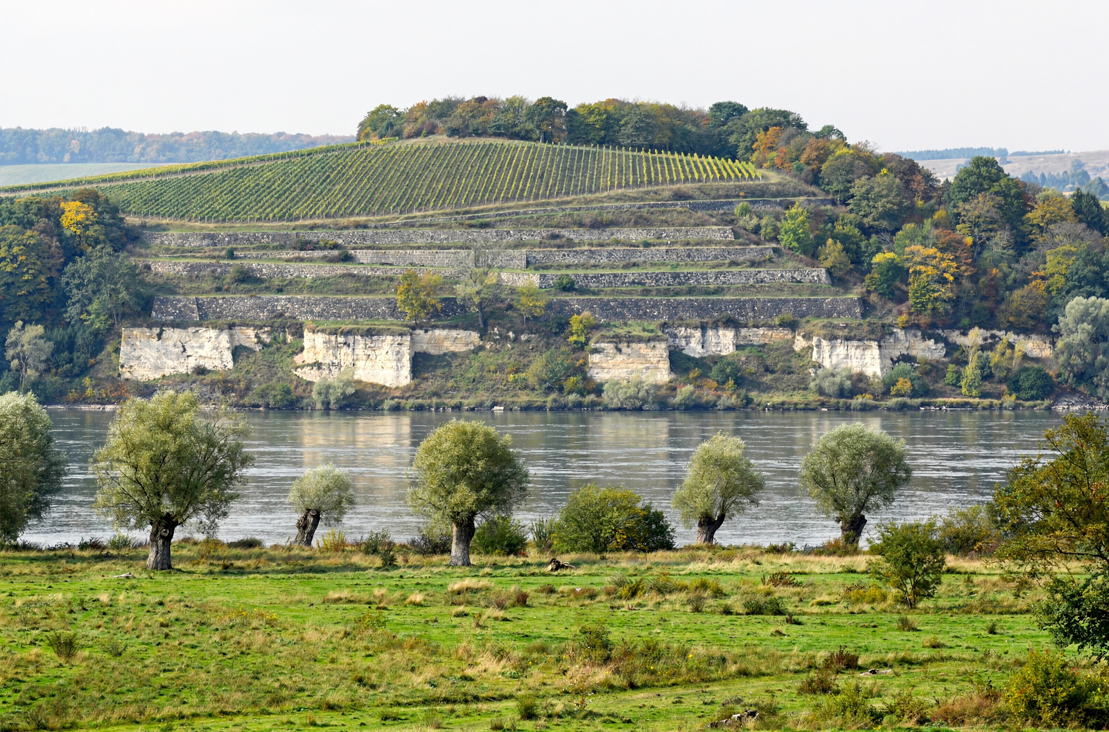 Schloss Wackerbarth