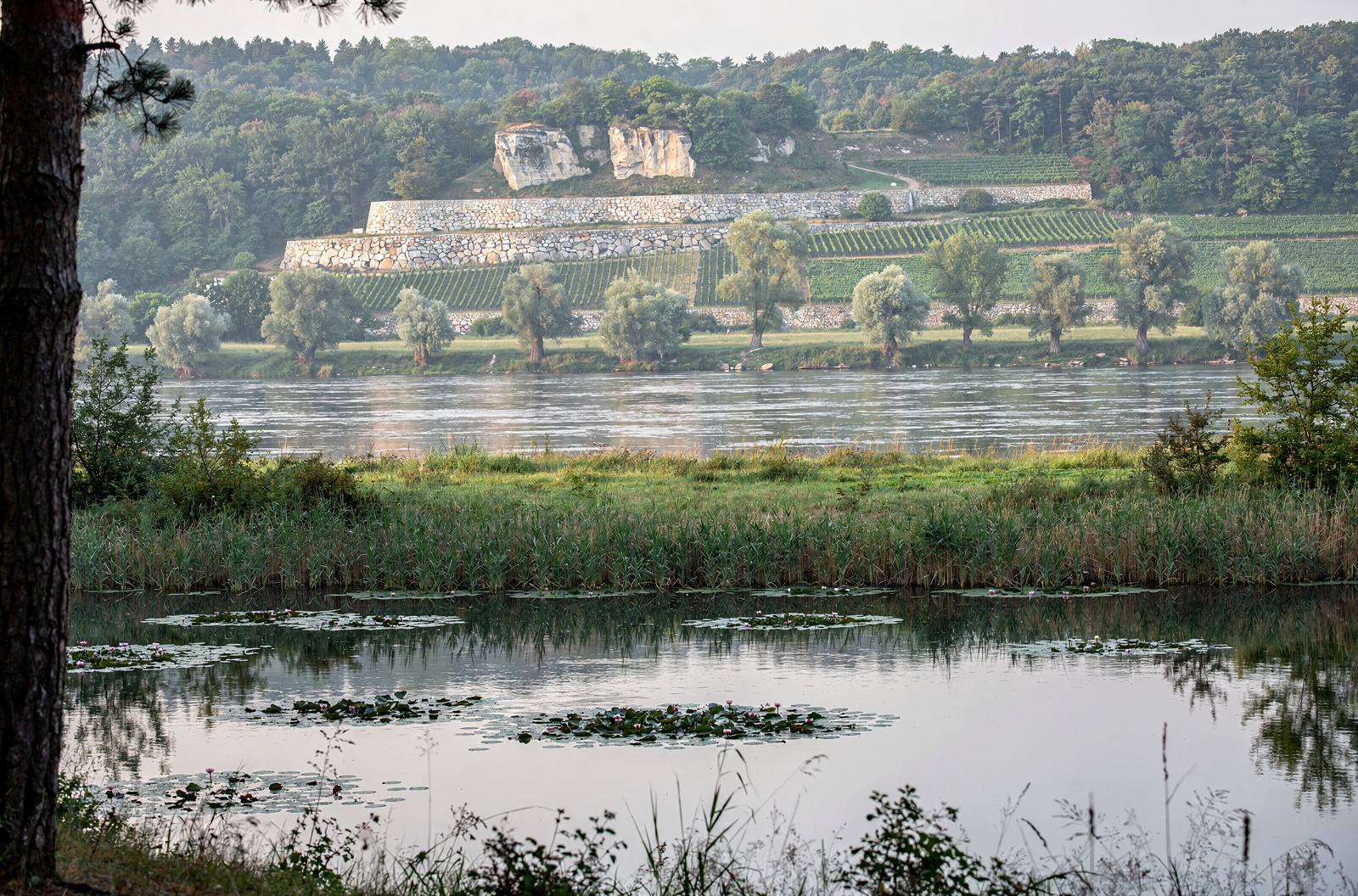 Schloss Moritzburg