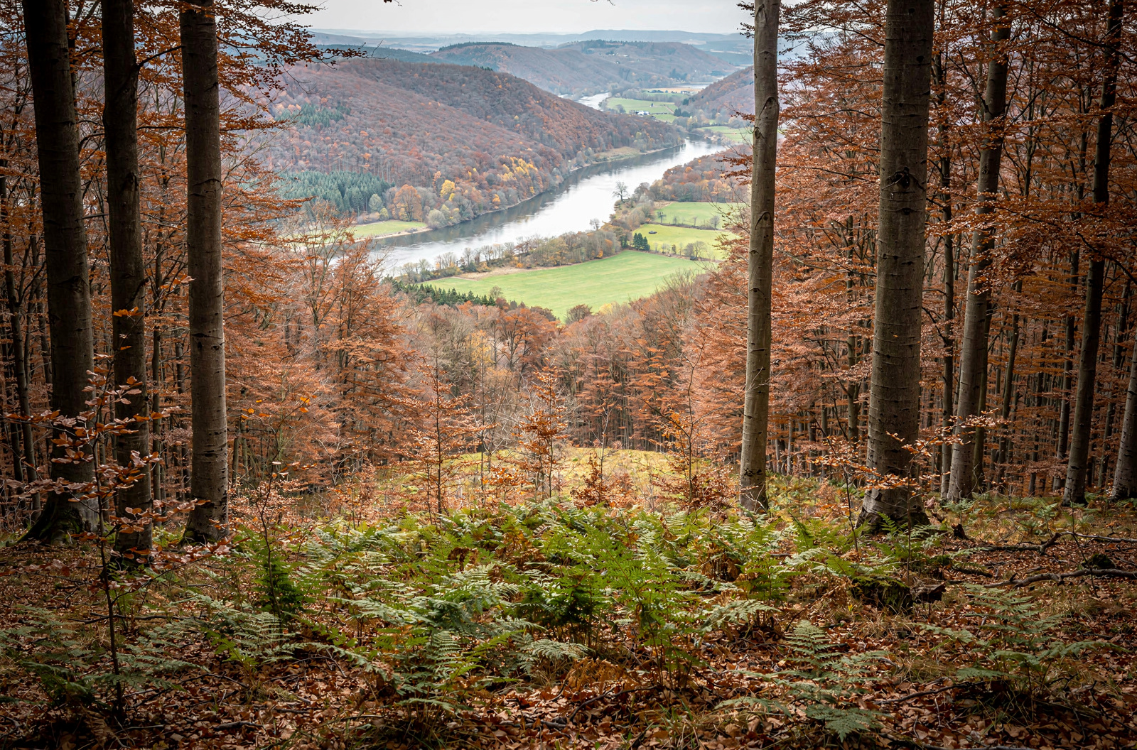 Hochsollingturm