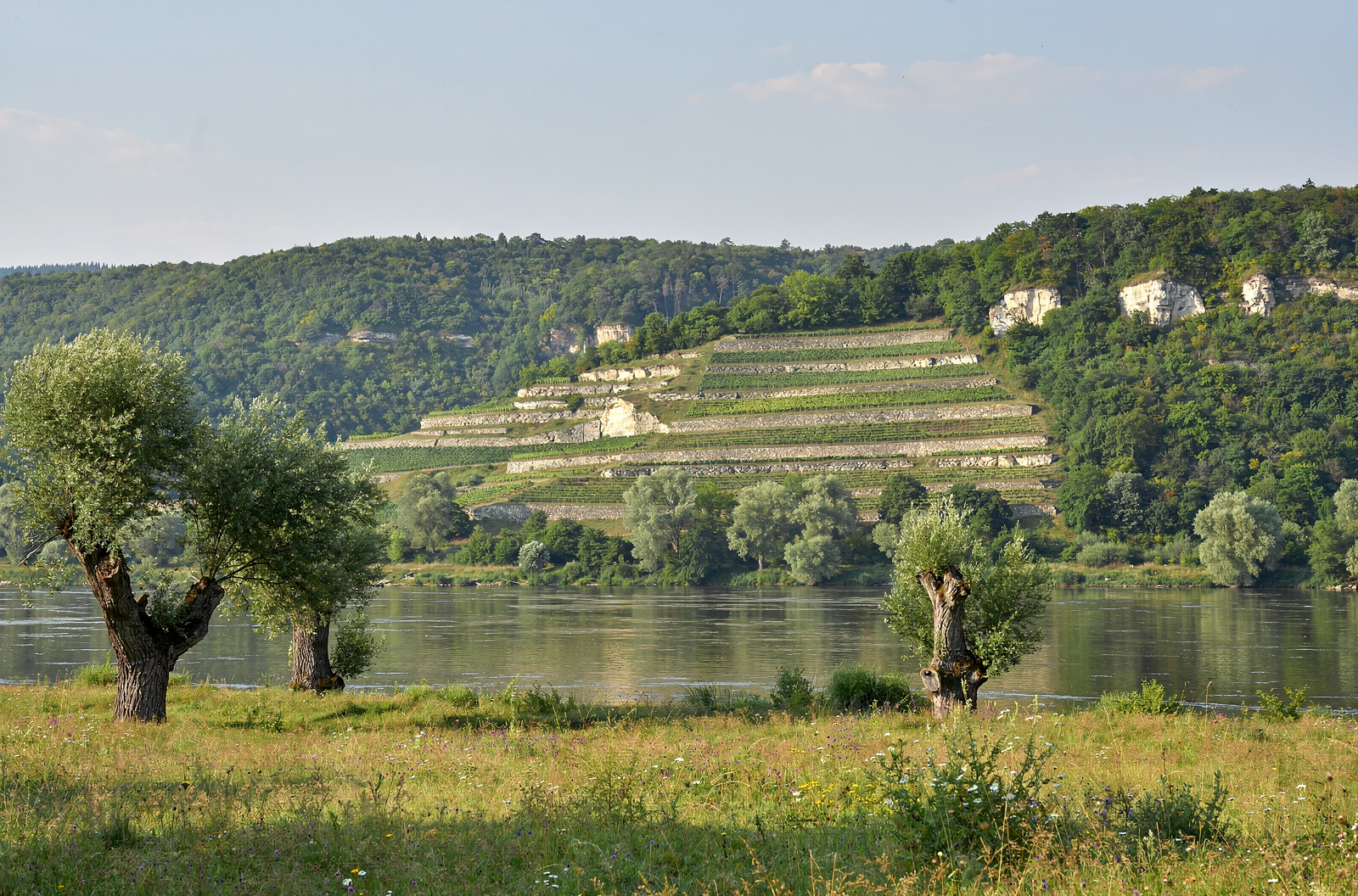 Schloss & Park Pillnitz
