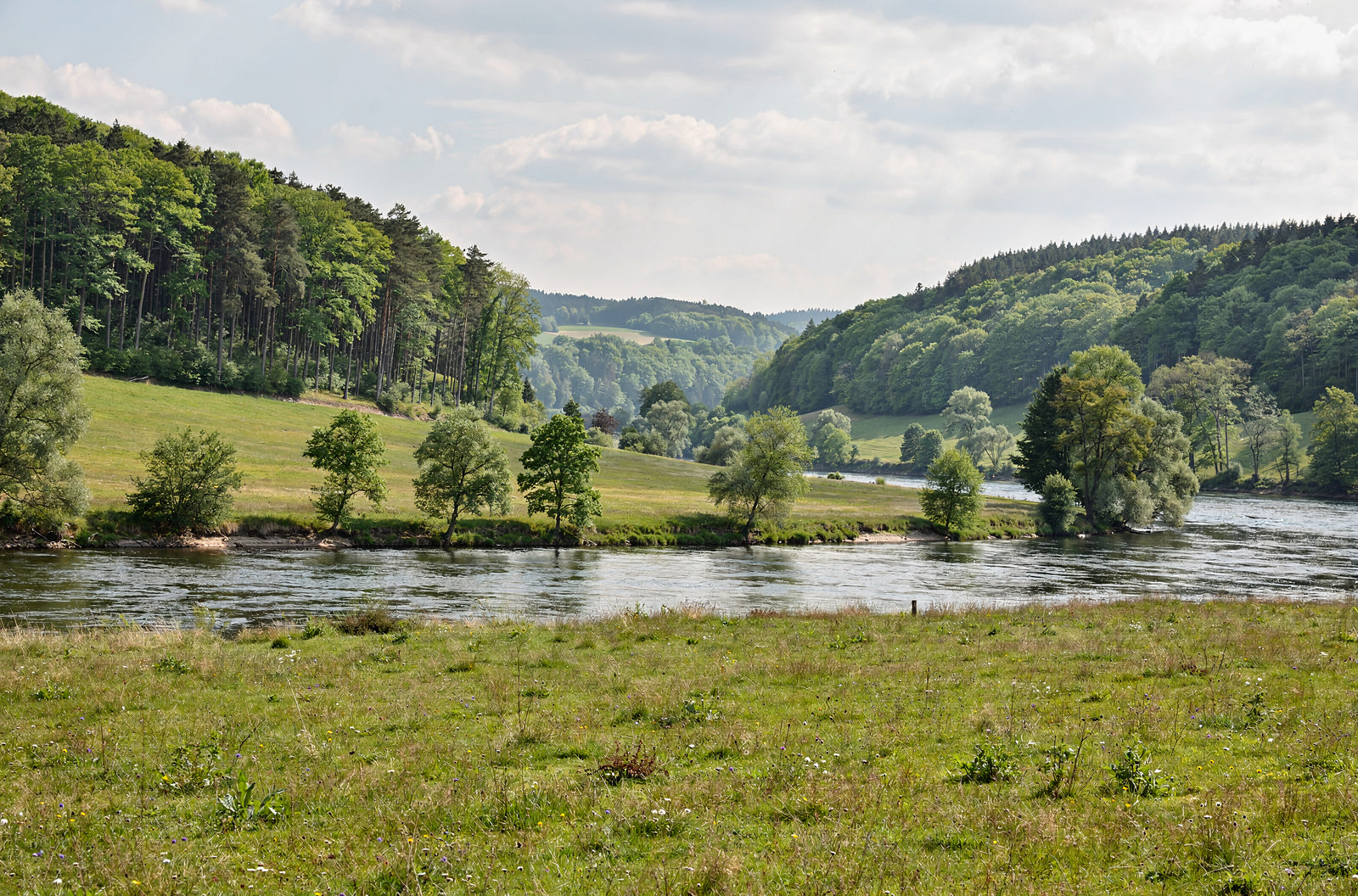 Fachwerk an der Weser und Weltmarktführer der Aromen — eine Stadt, die man riechen kann.