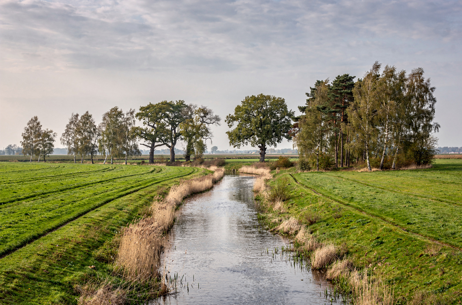 Wo das Ammerland auf Ostfriesland trifft — Radeln am Aper Tief zwischen Wiesen und Sielen.