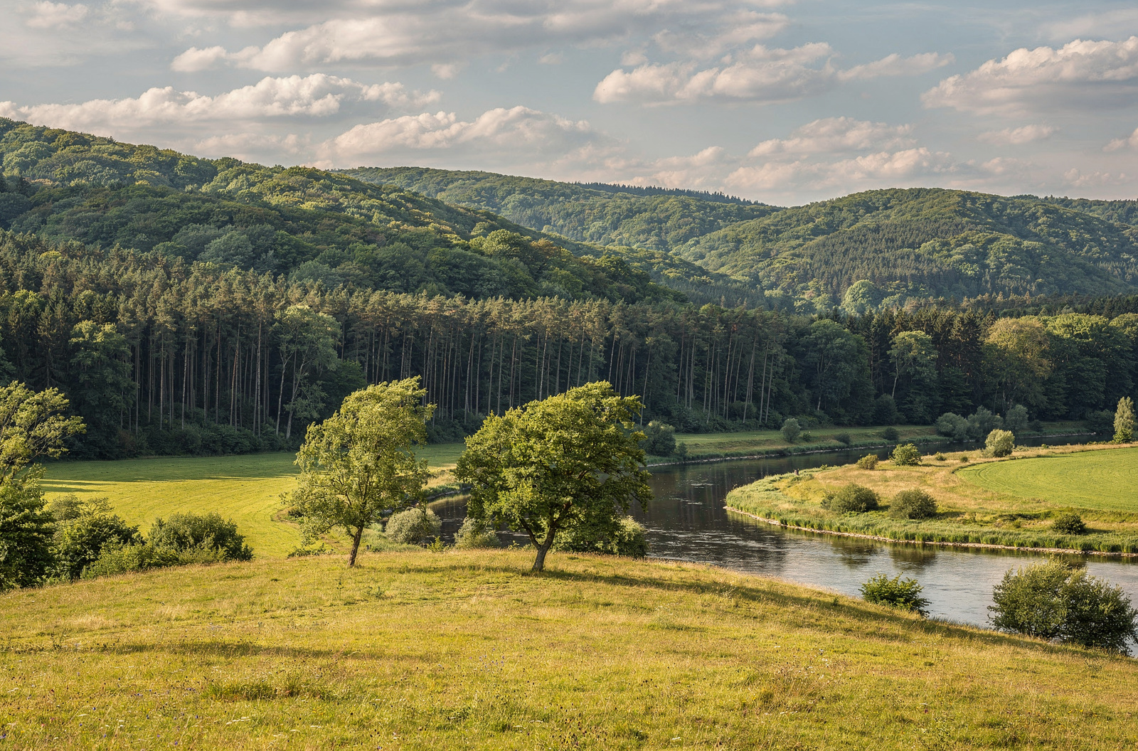 Der Hausberg der Region: 496 Meter, Rundumblick über drei Länder — und der beliebteste Rad-Anstieg weit und breit.