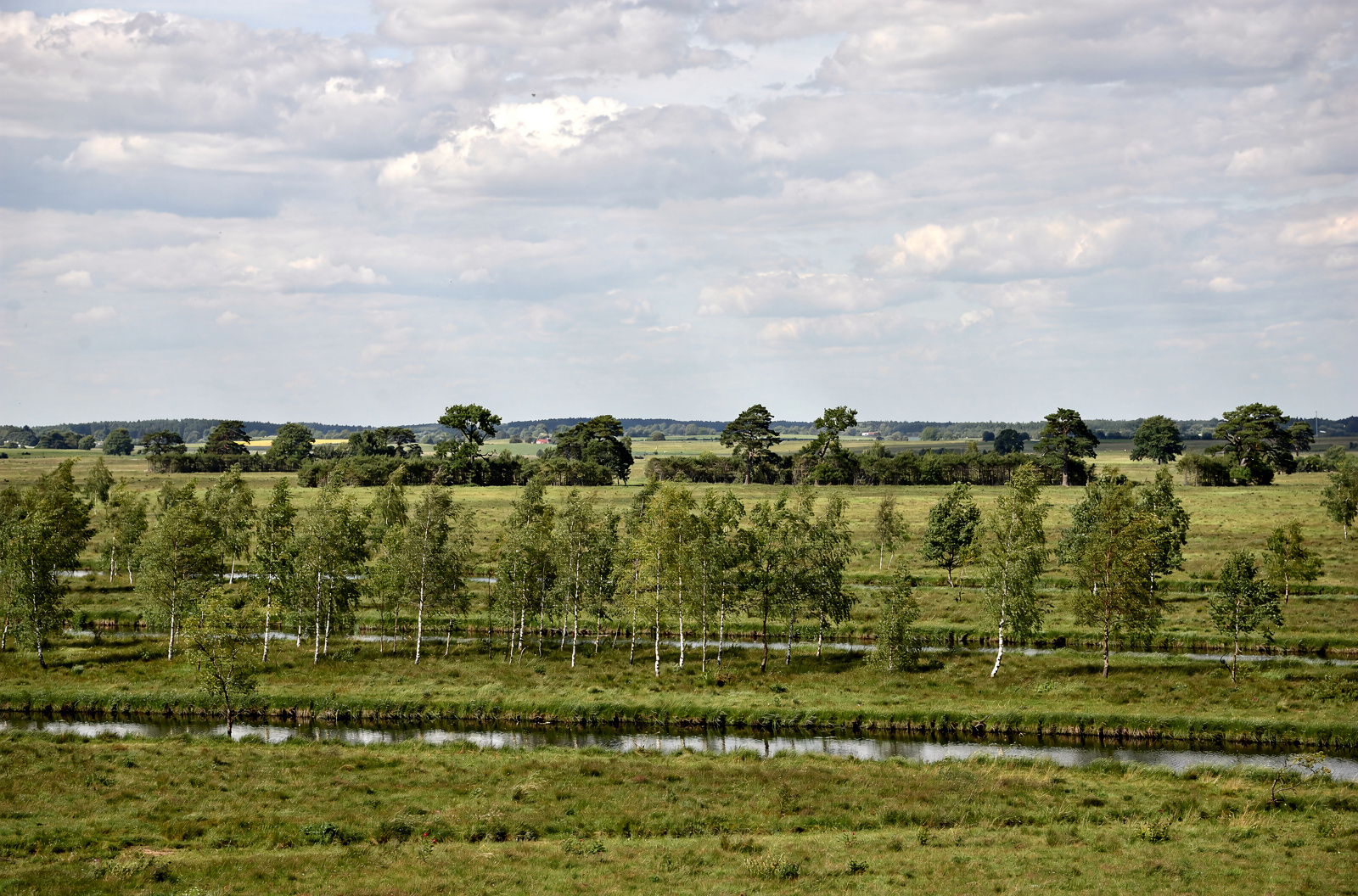Zwischen Moor und Fehnkanälen — die südwestliche Ecke des Ammerlands mit Würstchen-Weltruf.