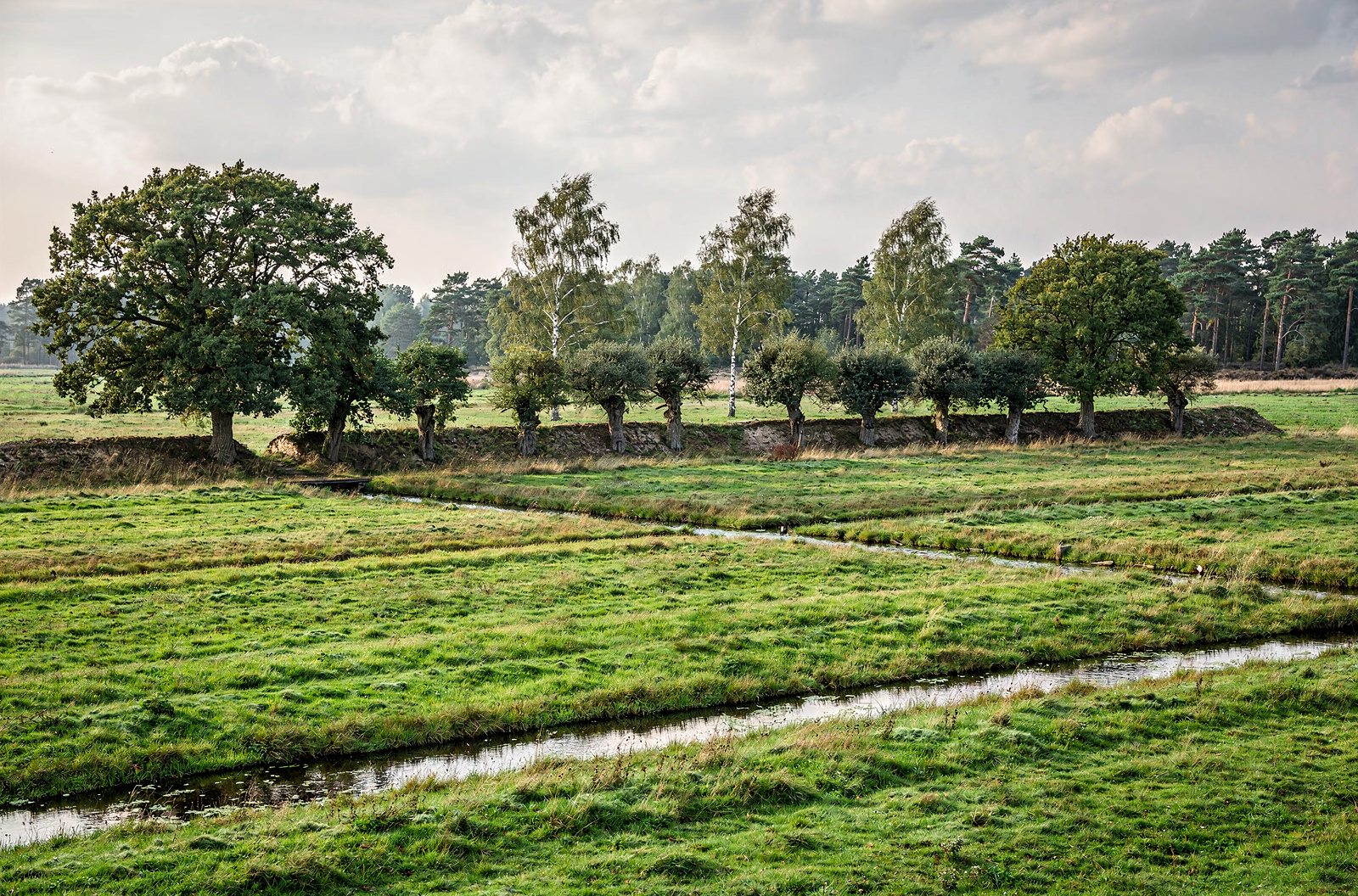 Wiefelstede
