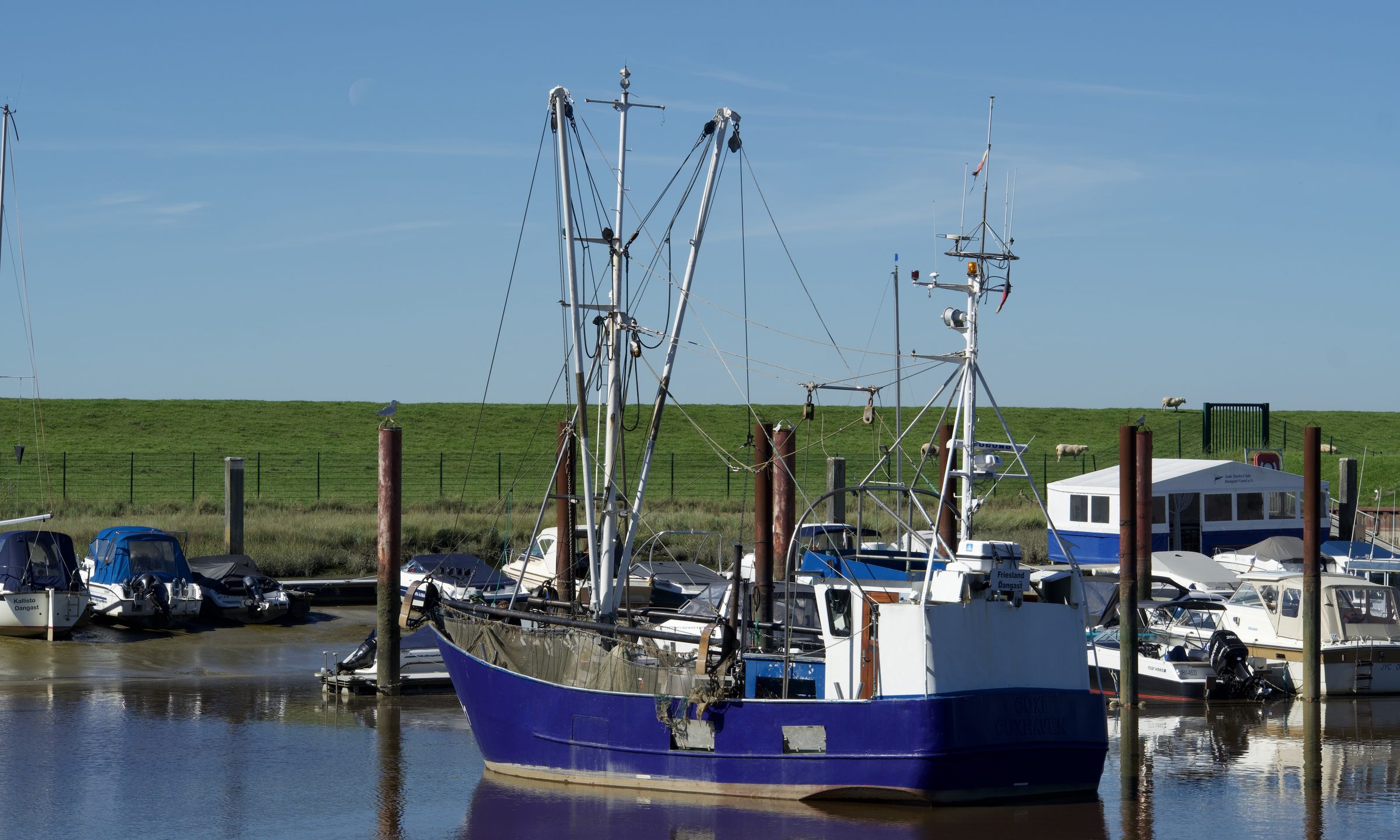 Dangast